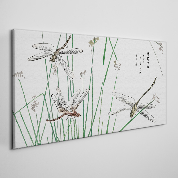 Slender dragonflies in green surroundings Canvas wall art