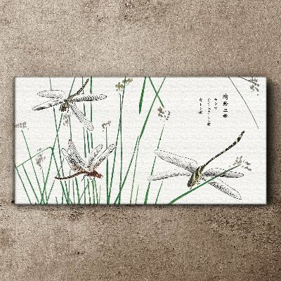Slender dragonflies in green surroundings Canvas wall art