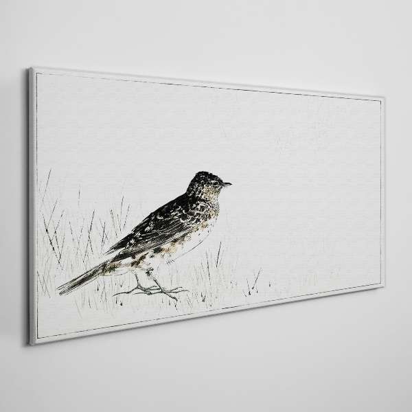 Bird on the grass background Print on canvas
