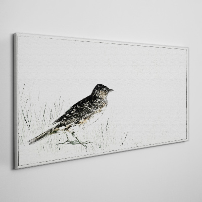 Animal bird Canvas print