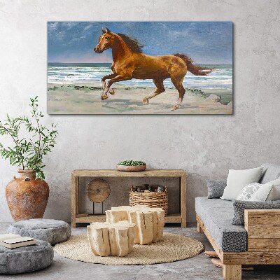 Beach coast waves of the sea horse Canvas Wall art