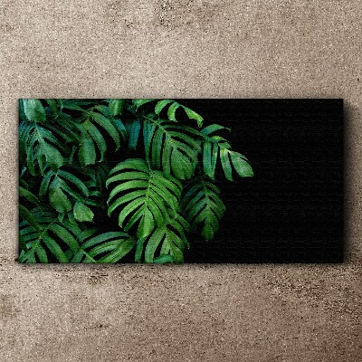 Green leaves on a black background Print on canvas
