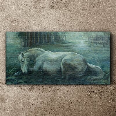 A calm horse in a forest landscape Canvas wall art