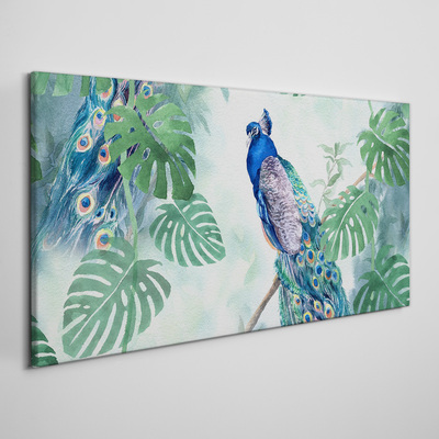 Peacock in the tropical jungle Canvas wall art