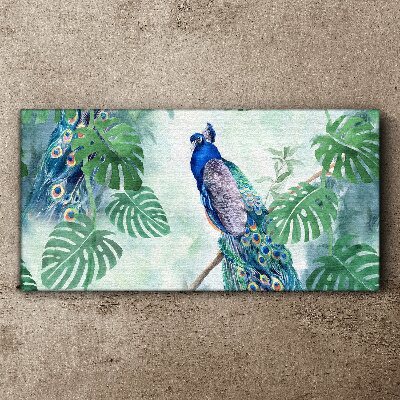 Peacock in the tropical jungle Canvas wall art