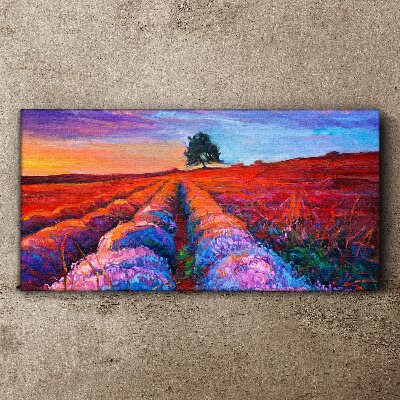 Landscape of lavender fields at sunset Print on canvas