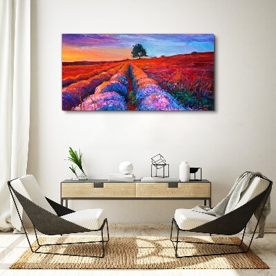 Landscape of lavender fields at sunset Print on canvas