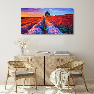 Landscape of lavender fields at sunset Print on canvas