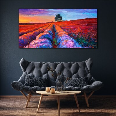 Landscape of lavender fields at sunset Print on canvas