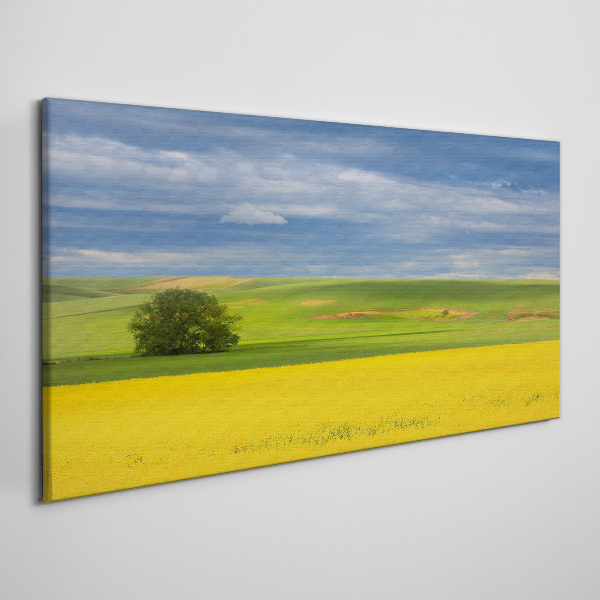 Yellow fields under blue sky Print on canvas