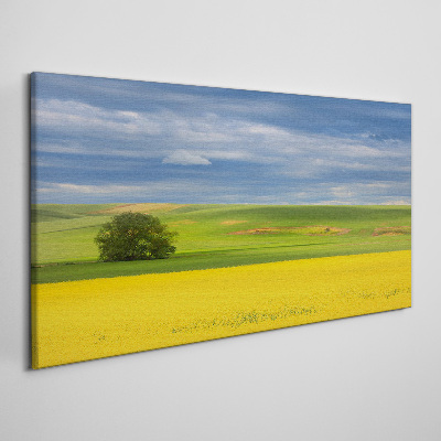 Yellow fields under blue sky Print on canvas