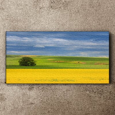Yellow fields under blue sky Print on canvas