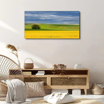 Yellow fields under blue sky Print on canvas