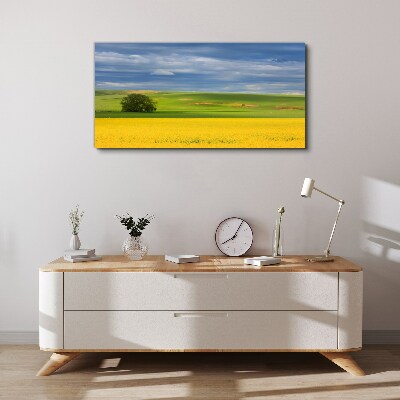 Yellow fields under blue sky Print on canvas