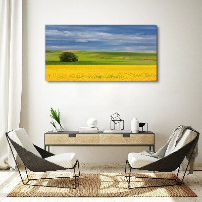 Yellow fields under blue sky Print on canvas