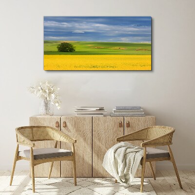 Yellow fields under blue sky Print on canvas