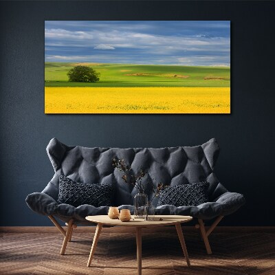 Yellow fields under blue sky Print on canvas