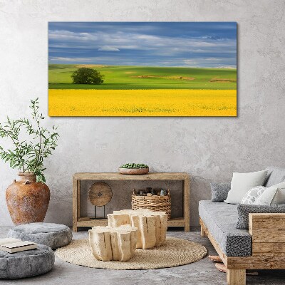 Yellow fields under blue sky Print on canvas