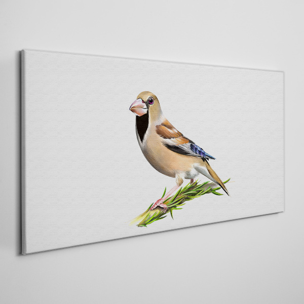 A bird on a branch Canvas wall art