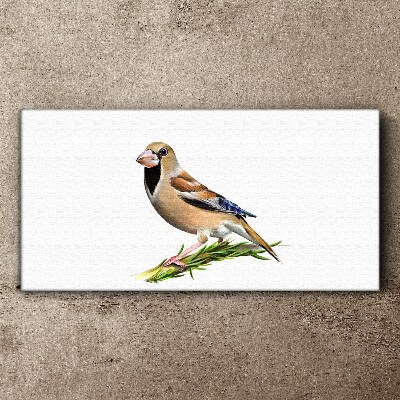 A bird on a branch Canvas wall art