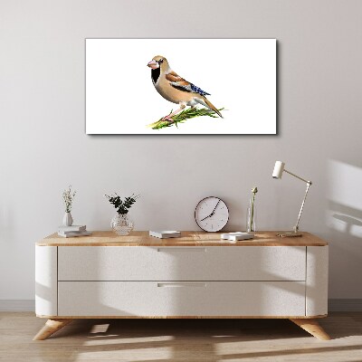 A bird on a branch Canvas wall art