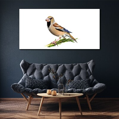 A bird on a branch Canvas wall art