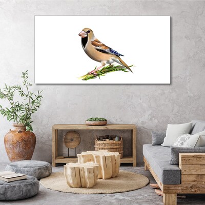 A bird on a branch Canvas wall art