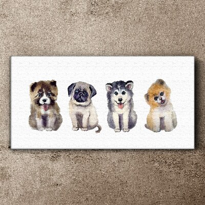 Four adorable puppies Print on canvas