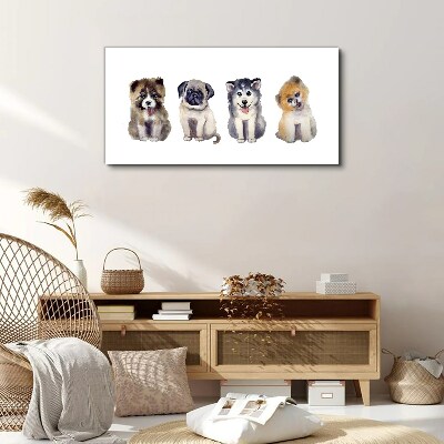 Four adorable puppies Print on canvas