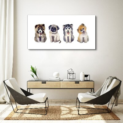 Four adorable puppies Print on canvas