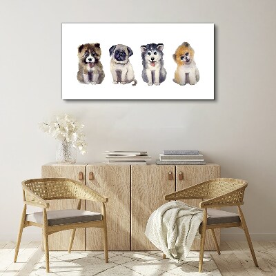 Four adorable puppies Print on canvas