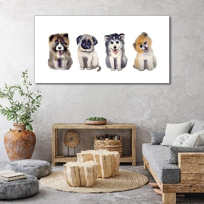 Four adorable puppies Print on canvas