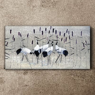 White cranes in the reeds Print on canvas