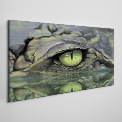 Frog's eye in water reflection Print on canvas