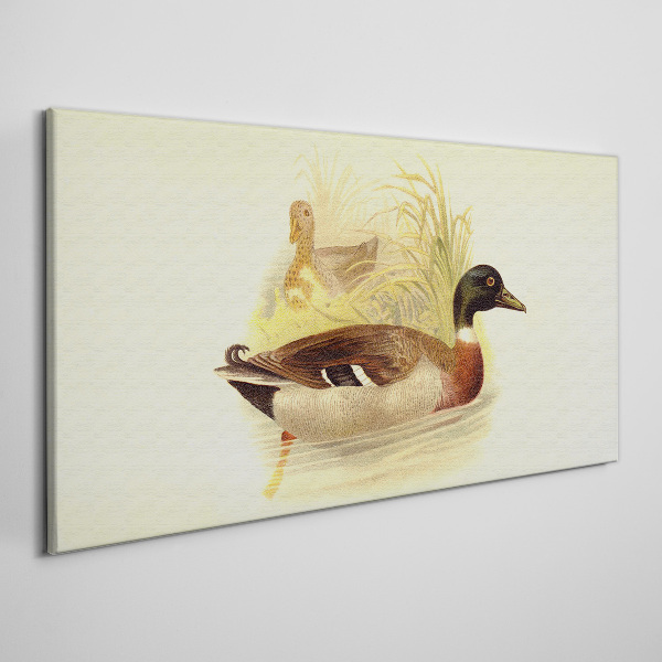 Ducks in the grass Canvas wall art