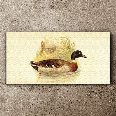 Ducks in the grass Canvas wall art