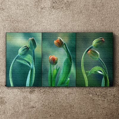 Flowers plants tulips Canvas print