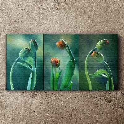 Tulips in shades of green Print on canvas