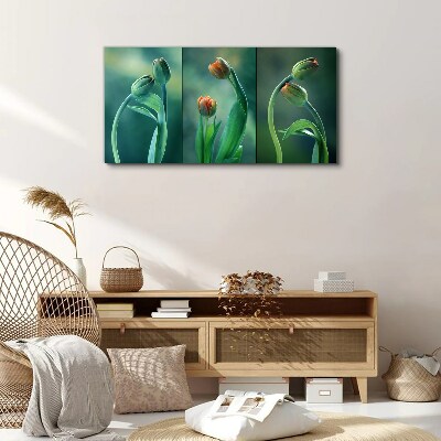 Tulips in shades of green Print on canvas