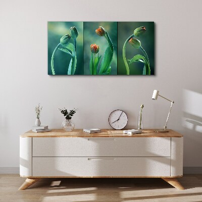 Tulips in shades of green Print on canvas