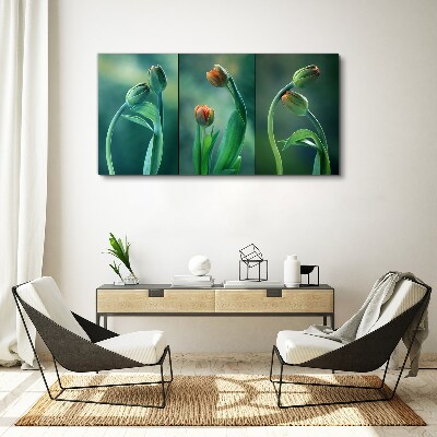 Tulips in shades of green Print on canvas