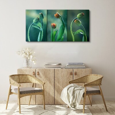 Tulips in shades of green Print on canvas