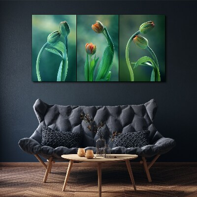 Tulips in shades of green Print on canvas