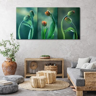 Tulips in shades of green Print on canvas