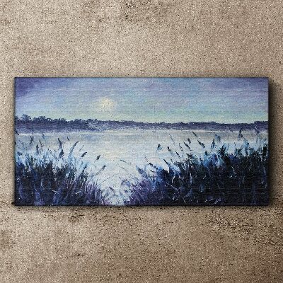 Lake night sky Canvas print