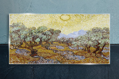 Olive trees in the sun Wall art on glass