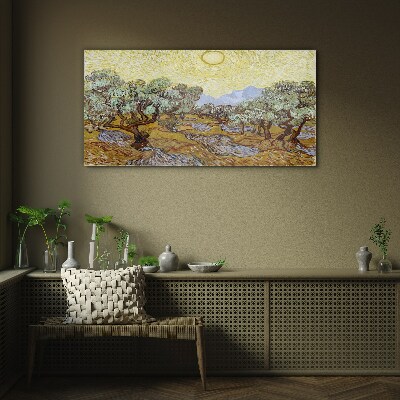 Olive trees in the sun Wall art on glass