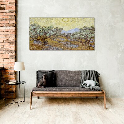 Olive trees in the sun Wall art on glass