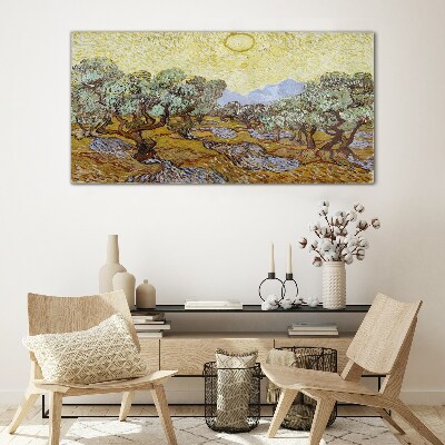 Olive trees in the sun Wall art on glass