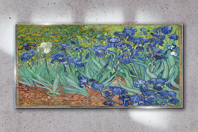 Irises in the garden Wall art on glass